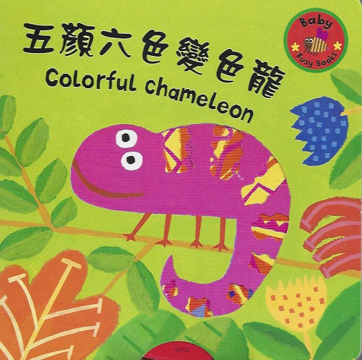 Colorful Chameleon 五顏六色變色龍